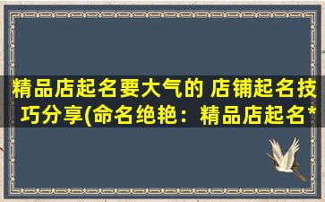 精品店起名要大气的 店铺起名技巧分享(命名绝艳：精品店起名*，引领大气之名)